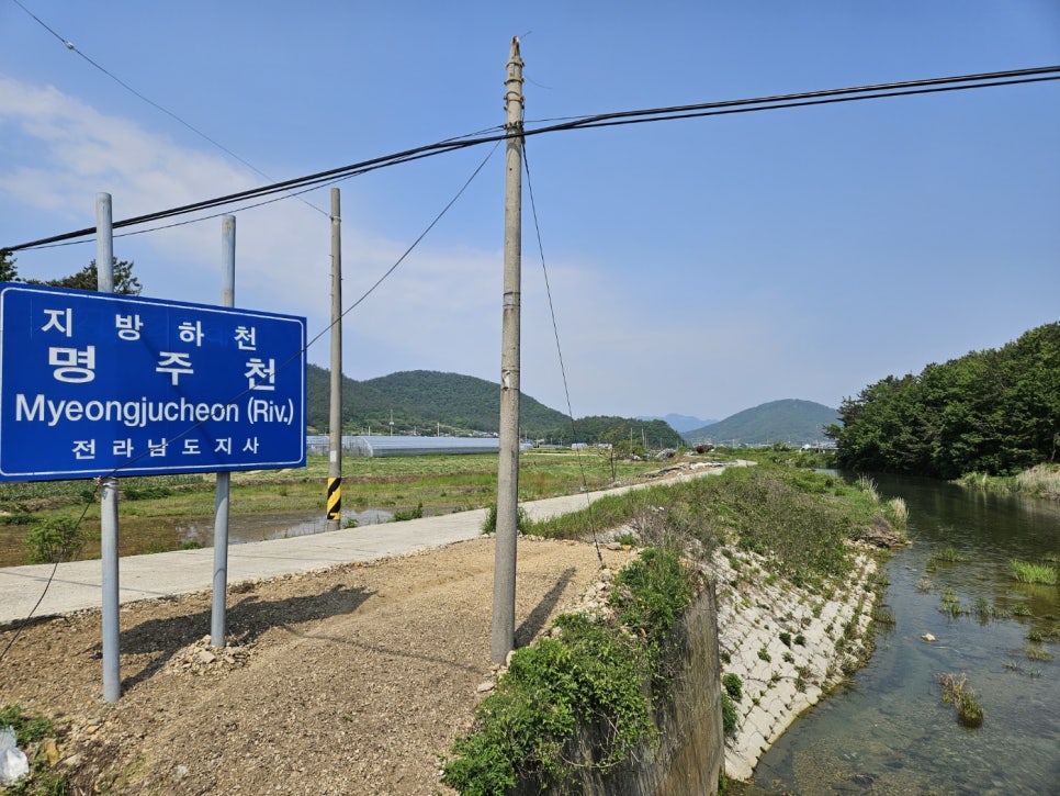 인골 사진 1