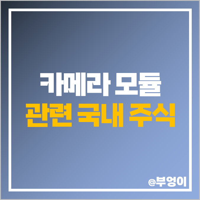 카메라 모듈 관련주 대장주 LG이노텍 주식 파트론 자화전자 주가 카메라 모듈 관련주 대장주 LG이노텍 주식 파트론 자화전자 주가