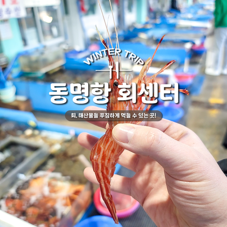  속초 동명항 회센터에서 배부르게 먹었던 회 한 상, 16호