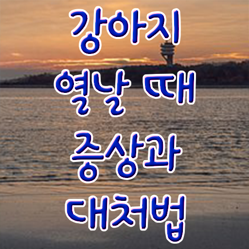  강아지 열날때 증상 대처방법 알려드립니다 !