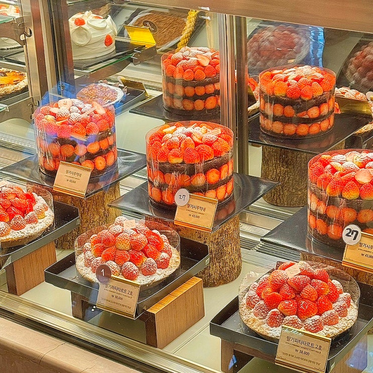 [대전 은행동빵집] 성심당 케익부띠끄 : 딸기시루 막내 예약, 기간, 가격 정보 정리