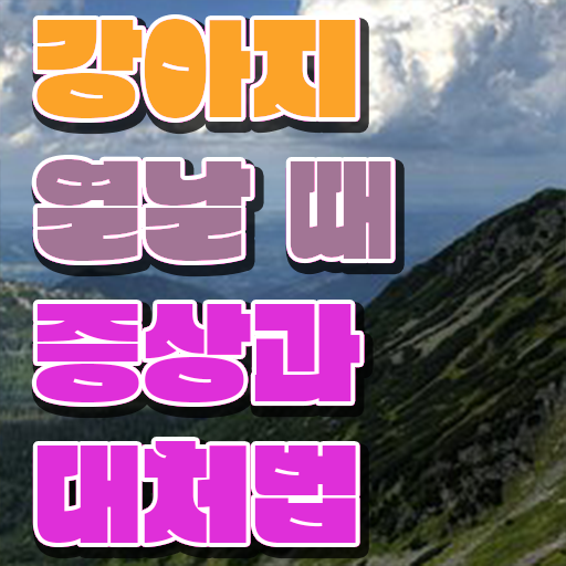  강아지 열날때 증상 대처법 알고 싶은 정보 여기에 .