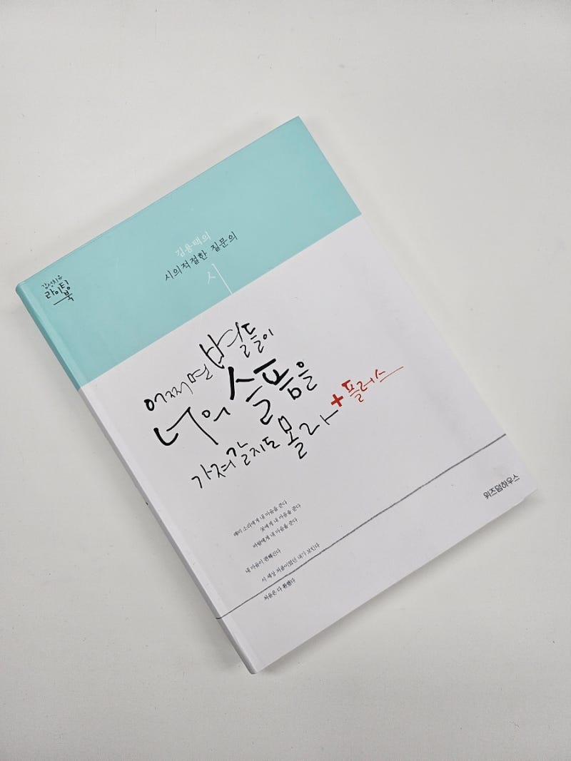 추천 시집 김용택 시집, 어쩌면 별들이 너의 슬픔을 가져갈지도 몰라, 추천 시, 시구절