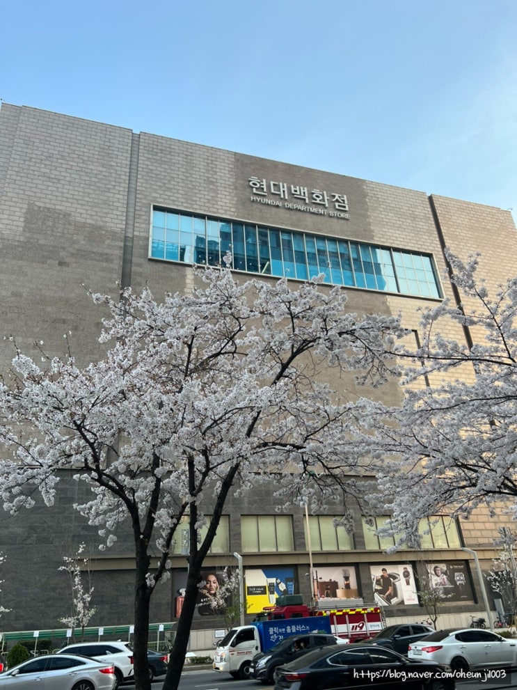  킨공주멤버쉽 현대백화점 혜택(킨텍스한류월드공동주택연합)