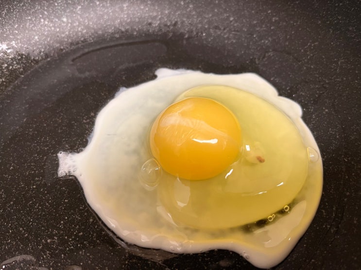 무항생제 유정란 아빠사랑팜의 동물복지 계란 10구, 건강한 달걀의 시작!