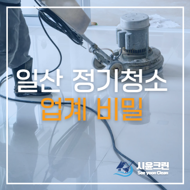  일산 정기청소 비용, 청소주기 등 (이런 업체는 거르세요.)