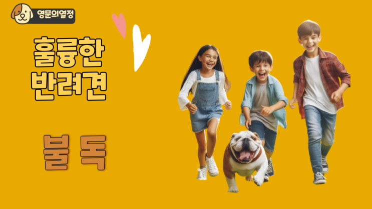  불독 최고의 반려견 소개