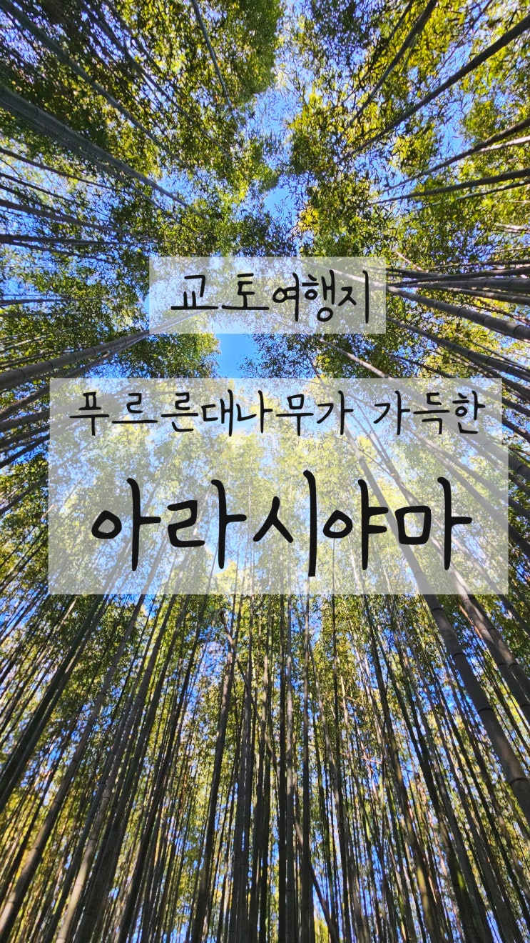 오사카여행 2일차 교토 아라시야마 맛집 코스 후기