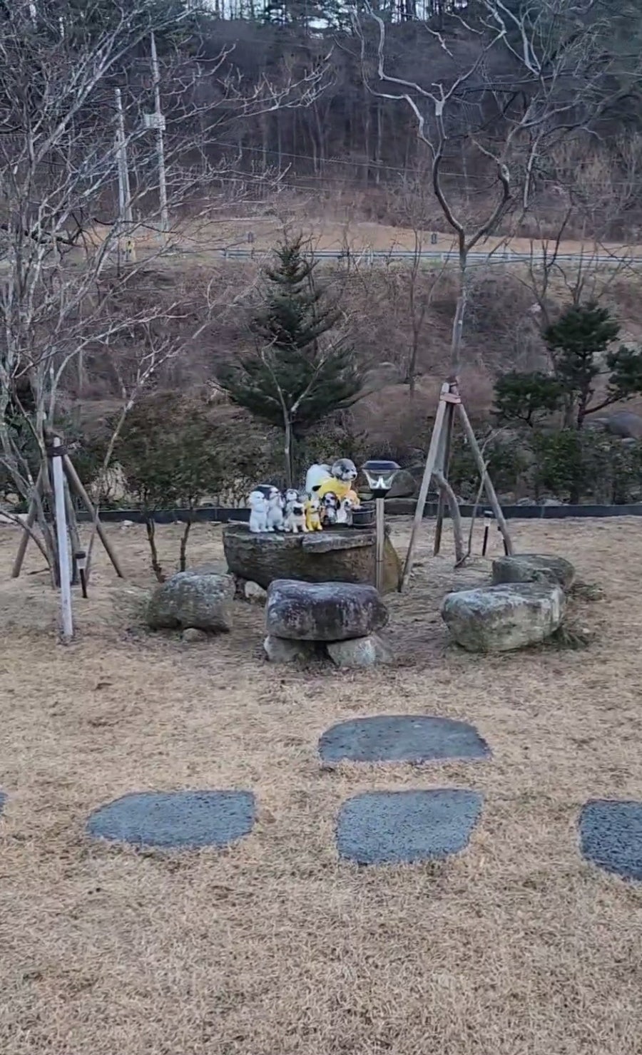 해피몽애견펜션 사진 3