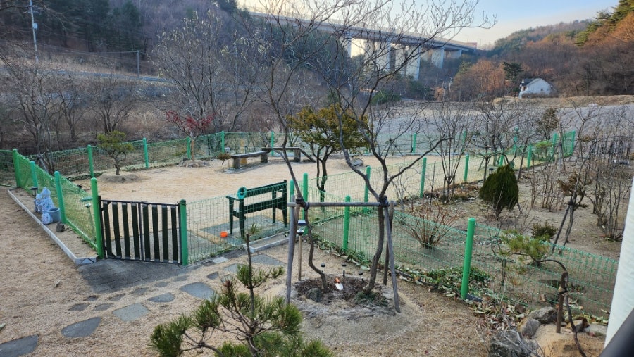 해피몽애견펜션 사진 6