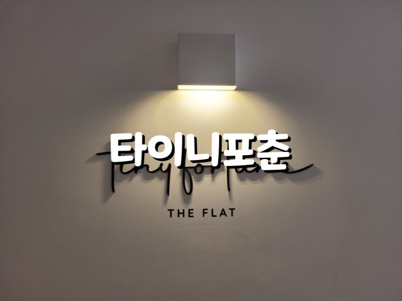 타이니포춘더플랫 사진 1