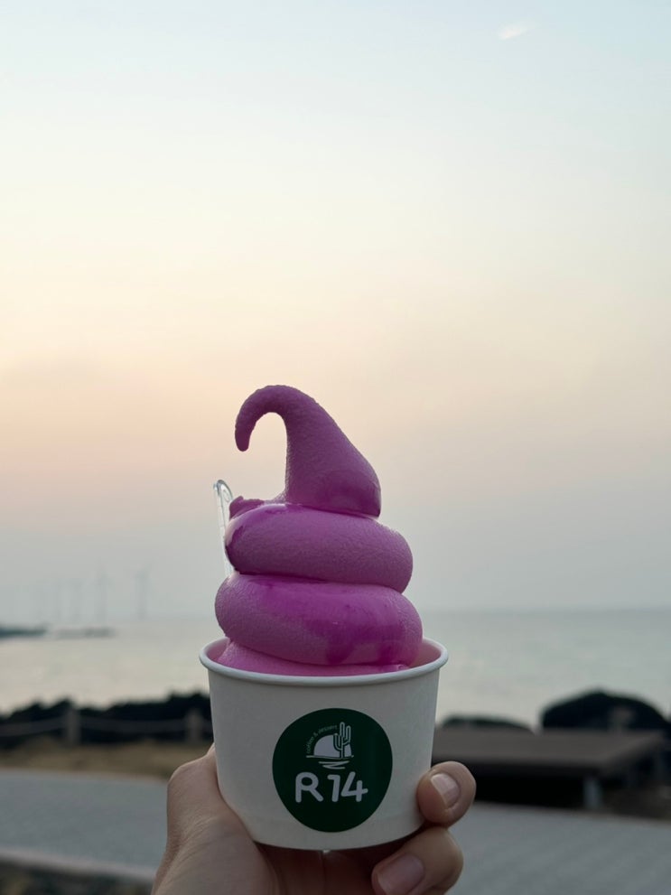  [제주 | R14] 선인장군락지 주변 디저트 카페