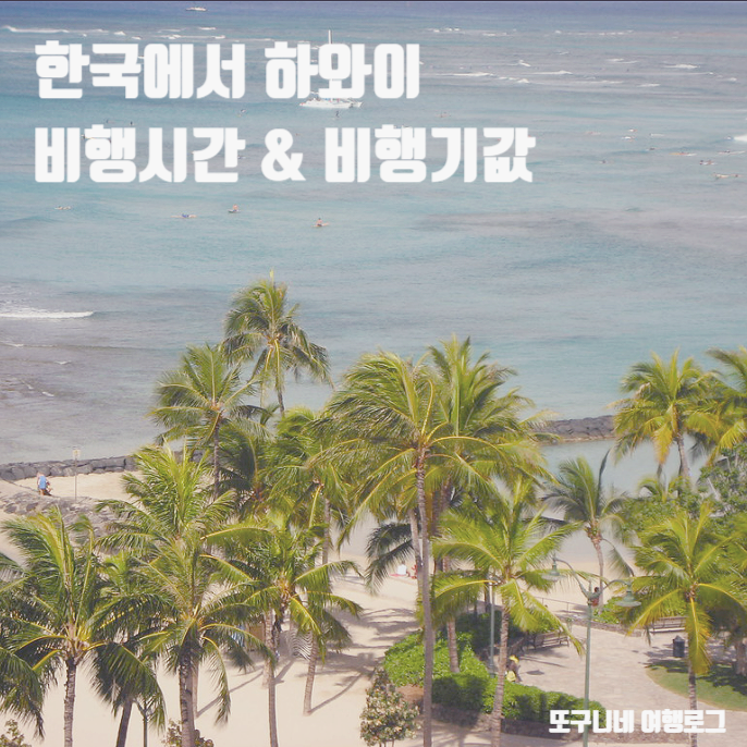  한국에서 하와이 비행시간 비행기값 비행기표 항공권 가격