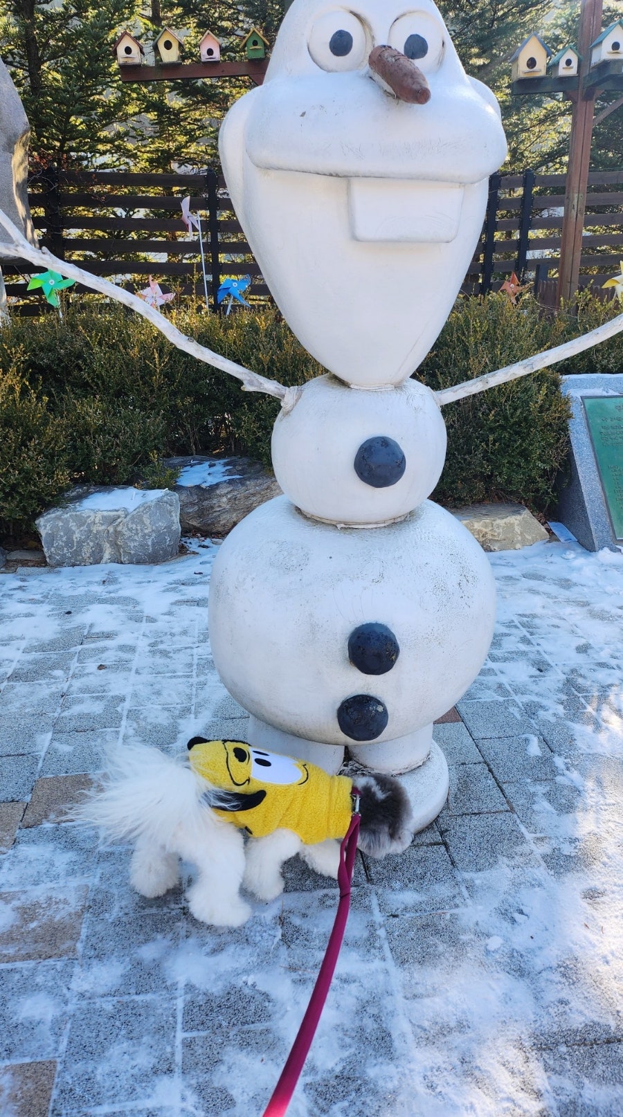 해피몽애견펜션 사진 1