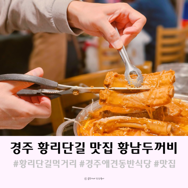 경주 황리단길 먹거리 애견동반 가능한 황남두꺼비식당 경주 황리단길 먹거리 애견동반 가능한 황남두꺼비식당