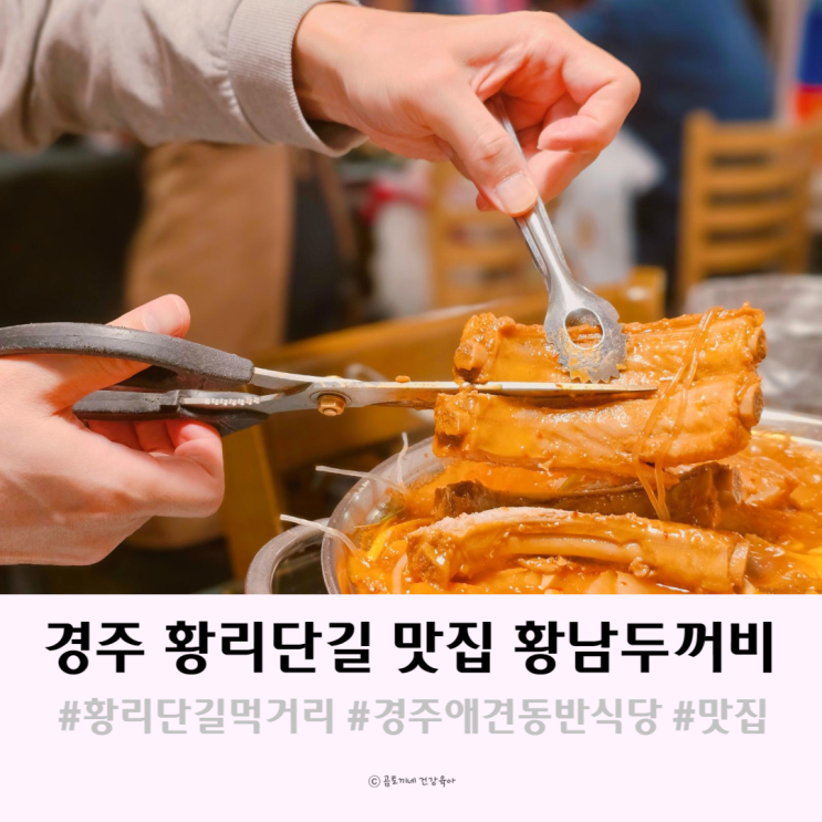 경주 황리단길 먹거리 애견동반 가능한 황남두꺼비식당