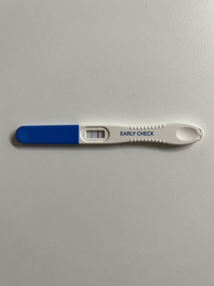  아기집 확인..ᡣ𐭩