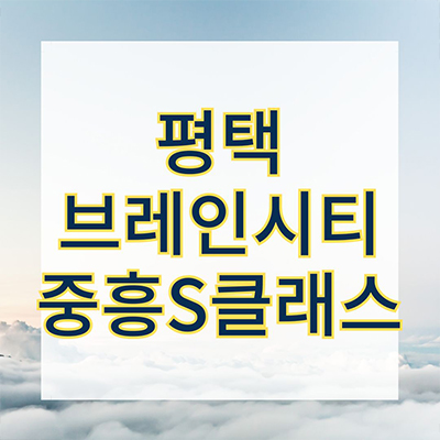  평택 브레인시티 중흥s클래스 미분양 장안동 신축 중흥토건 아파트 타입별 분양가격 잔여세대 문의