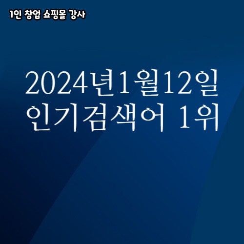  2024년 1월 12일 네이버쇼핑 분야별 인기 검색어 1위