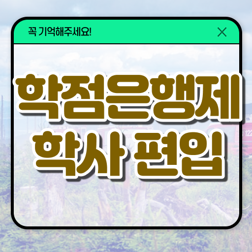  학은제 편입 복수전공 알려드립니다 .