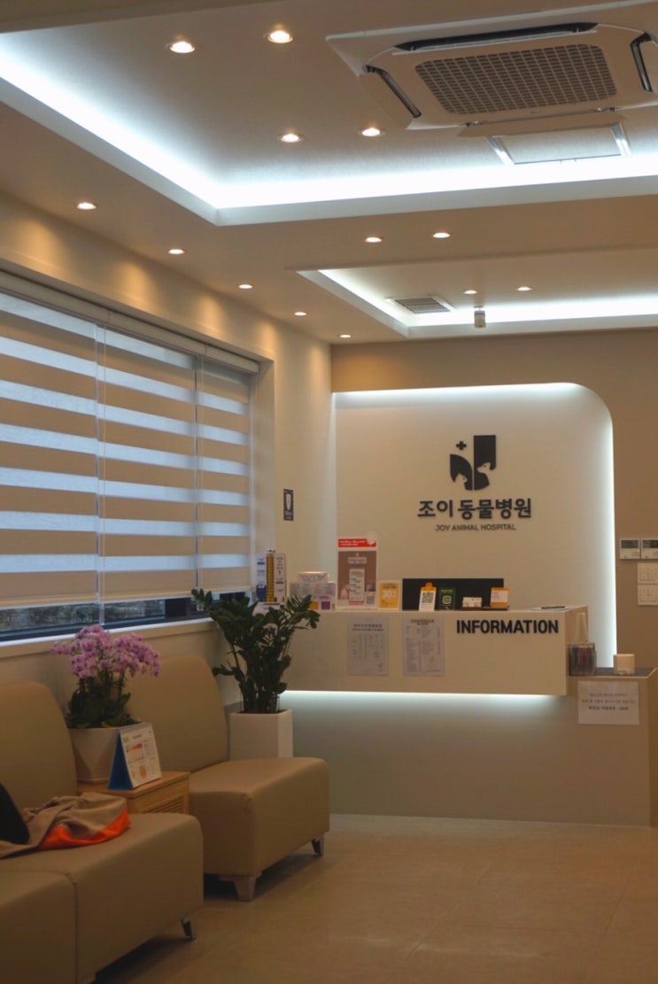  광주 화정동 동물병원 조이동물병원 강아지 건강검진했어요