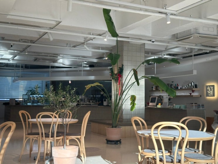  [카페] 오산/오산대학교근처/카페/송강커피