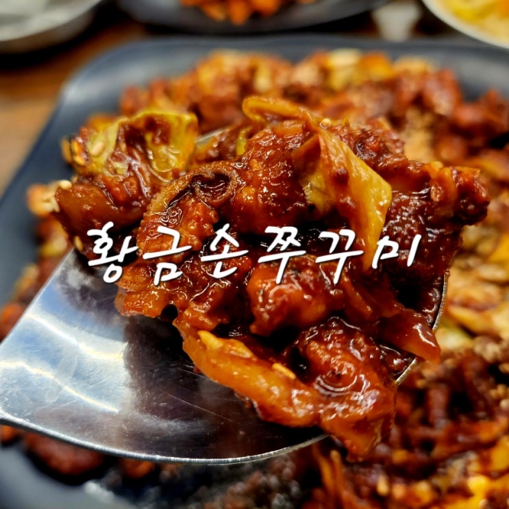  [고양/보광로] 황금손쭈꾸미_직화쭈꾸미_맛있음!