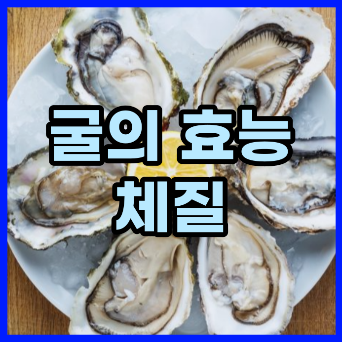  굴 효능과 체질, 동의보감에서의 기록