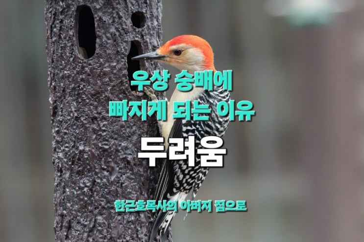  우상 숭배에 빠지게 되는 이유- 두려움