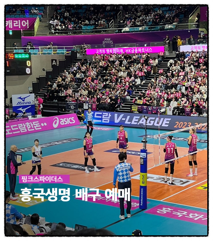 흥국생명 배구 예매, <b>배트맨토토</b>까지!?