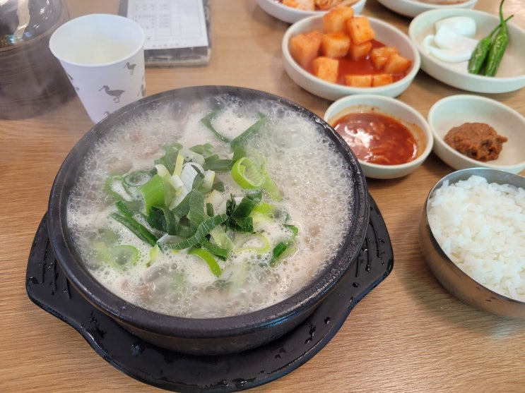  명가네 순대국 수원 로컬 맛집 가성비 최고! (내돈내산)