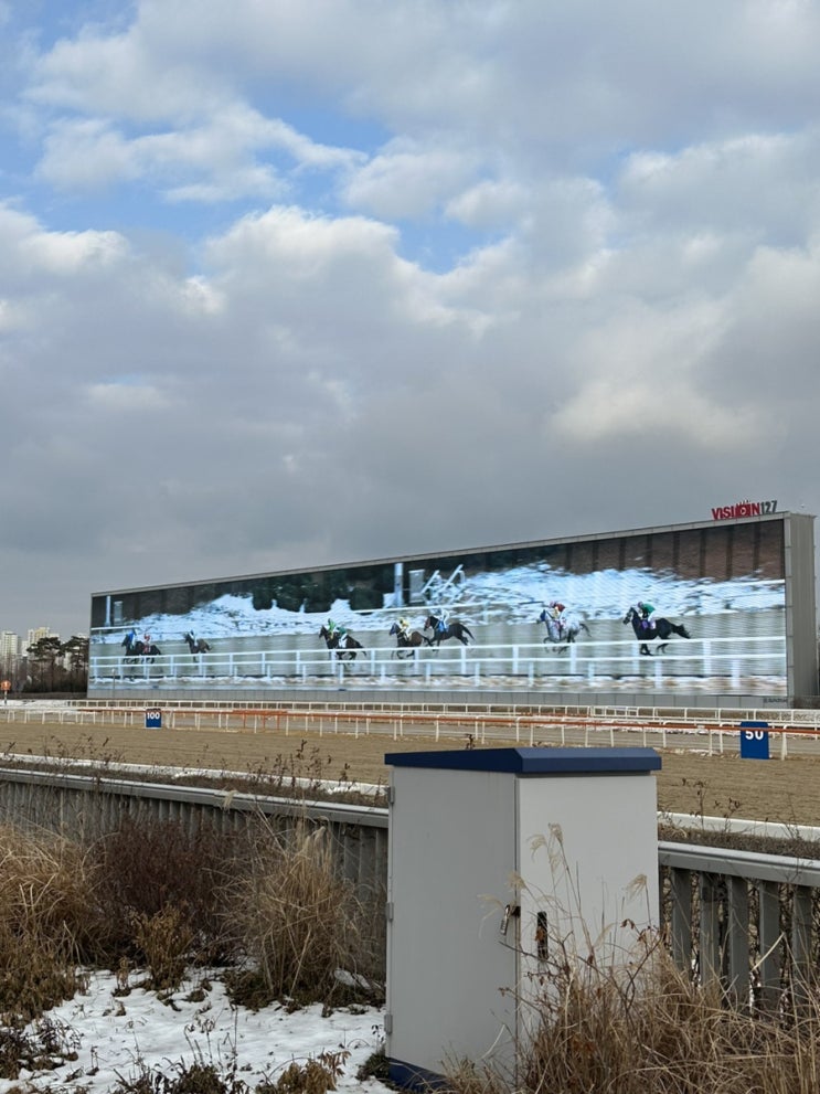  서울 경기 이색데이트 경마공원에서 경마왕 찾기 렛츠런파크 놀라운지 이용