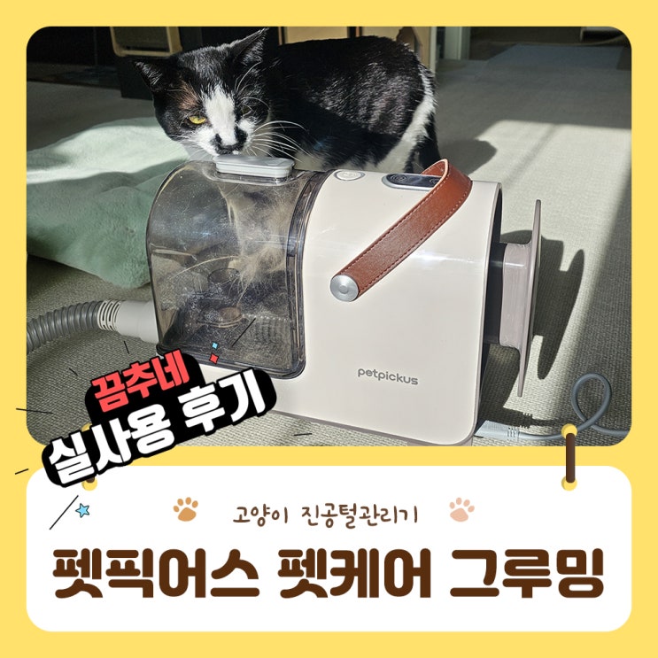  고양이 털관리 펫픽어스 펫케어 그루밍 소심고양이 실사용 성공기(무편집영상)
