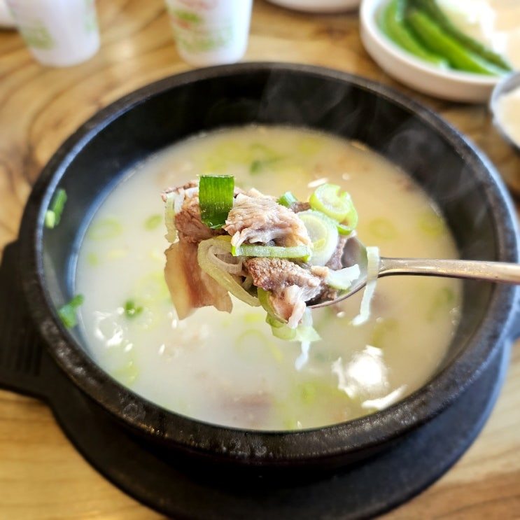  경북 왜관 ic 맛집 채설진소머리국밥 칠곡 국밥 비빔냉면 추천