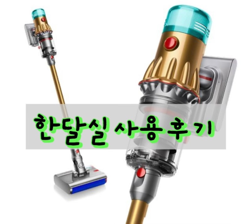 [한달사용후기]다이슨 V12s 디텍트 슬림 서브마린 컴플리트 vs 다이슨 디지털 슬림 비교