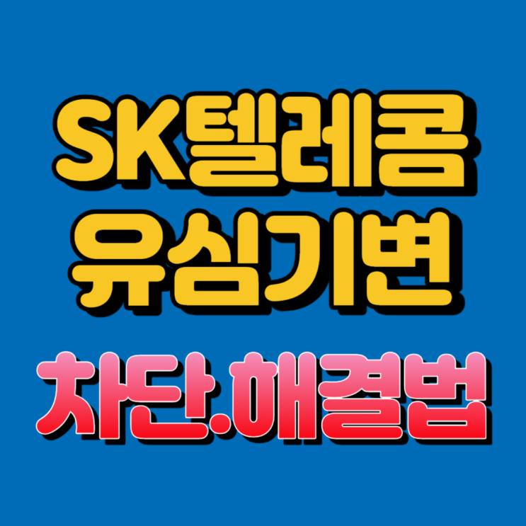 SK텔레콤 유심기변불가 해결방법(유심락)
