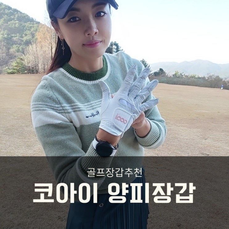  골프 양피장갑 그립력이 좋은 코아이골프 애정해요!