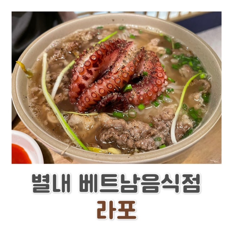  남양주 별내 맛집 / 별내베트남음식점 / 별내쌀국수 / 별내롯데시네마맛집 / 라포  c