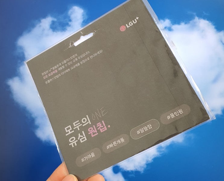 유플러스 원칩 유심 가격 그리고 개통 방법 유플러스 원칩 유심 가격 그리고 개통 방법