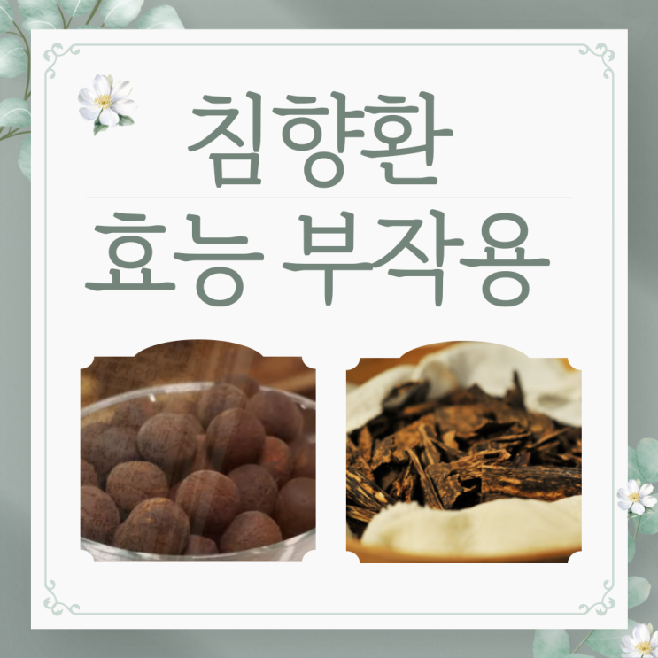  침향환 효능 부작용 복용방법