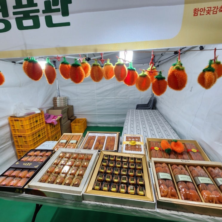  함안여행, 함안축제, <2023년 함안곶감축제>& 함주공원 축제 규모 및 분위기