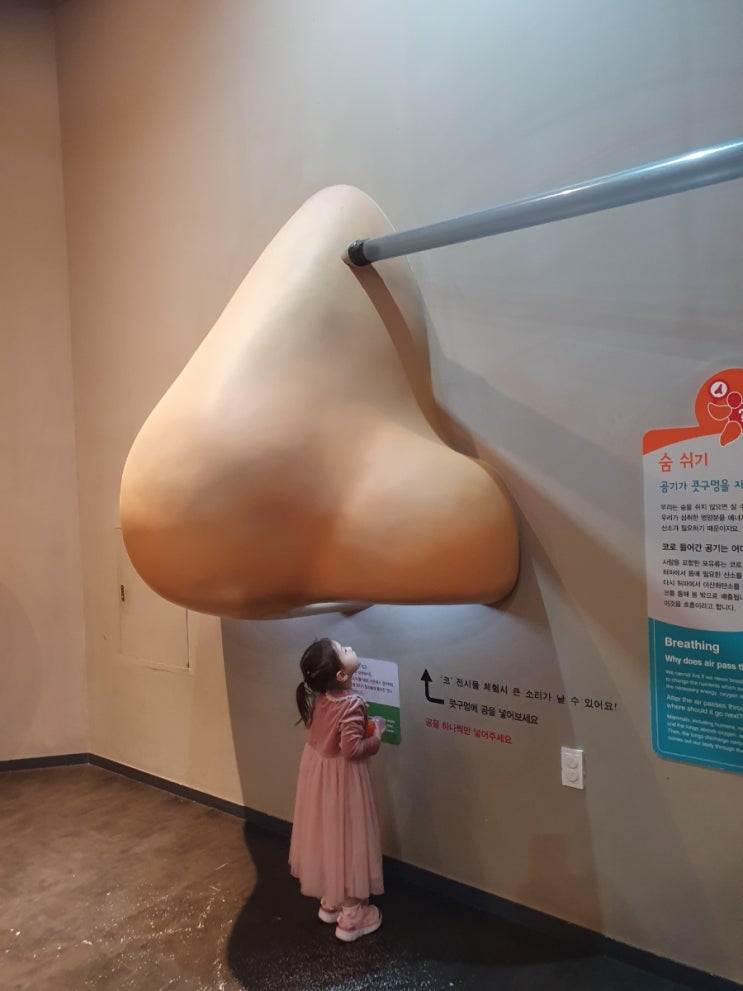  경기도 어린이박물관 다둥이 할인 예약 (겨울 아이랑 실내 가볼만한 곳)