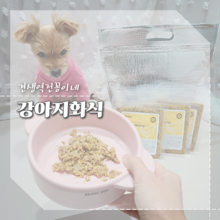  강아지 화식 저지방 자연식 레시피 레시펫 췌장염 노령견 습식사료 추천