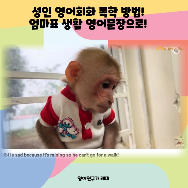 성인 영어회화 독학 방법! 엄마표 생활 영어문장으로! 성인 영어회화 독학 방법! 엄마표 생활 영어문장으로!