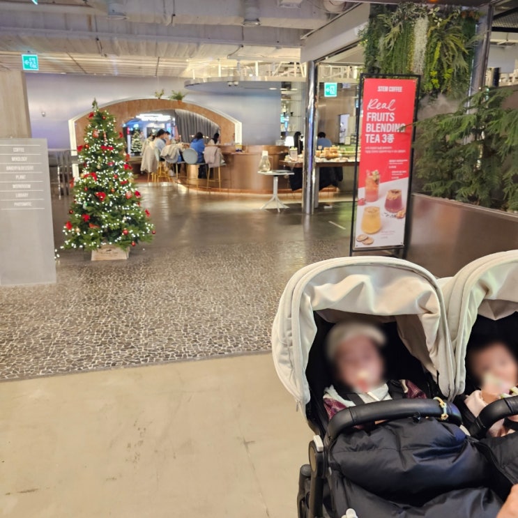  코엑스 아기랑 가기 좋은 카페, 스템커피, 무료 주차 정보