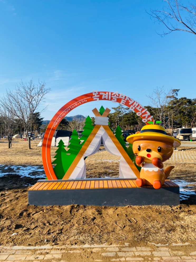  충주 목계솔밭 캠핑장 후기