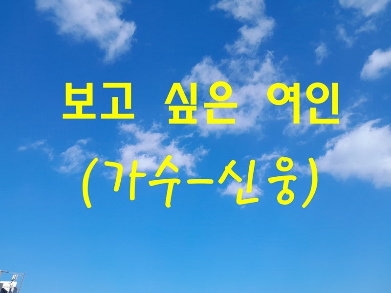 신웅 - 보고 싶은 여인 노래 듣기 / 가사 (원곡 현철)