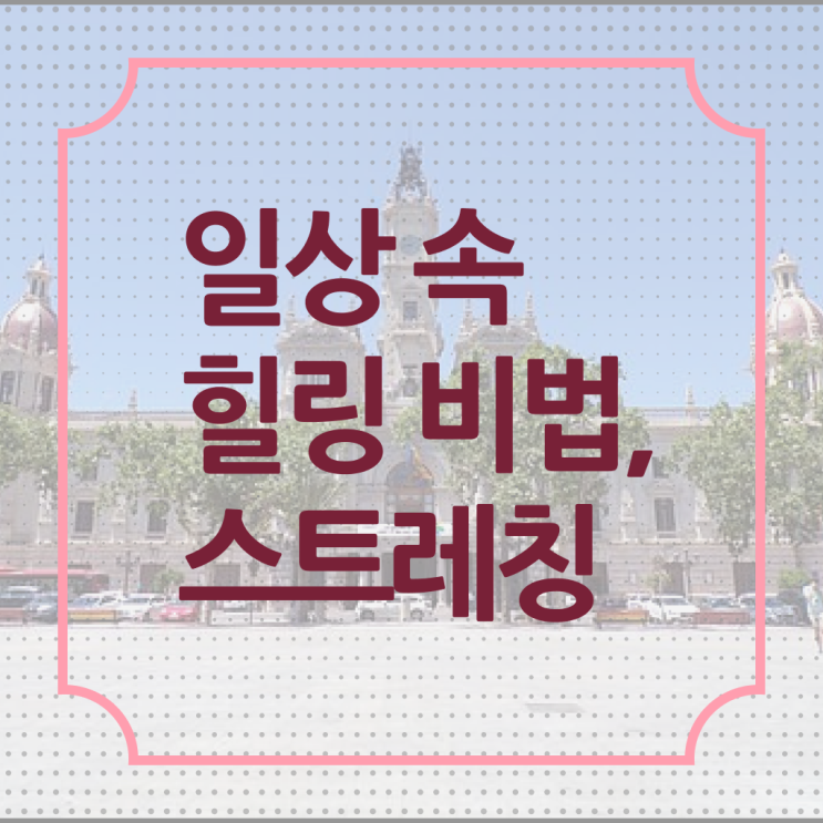  정보꾸러미 !!! 간단한 허리 스트레칭 효능 !!!
