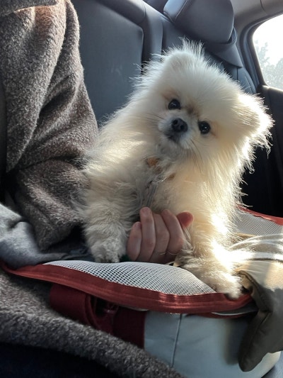 사진 2
