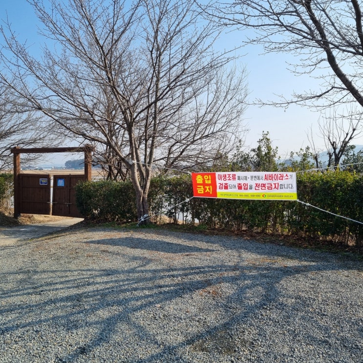 창원 <b>주남저수지</b>에서 야생조류서 고병원성 조류인플루엔자 <b>확진</b>